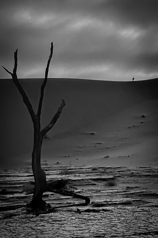 Lone Desert